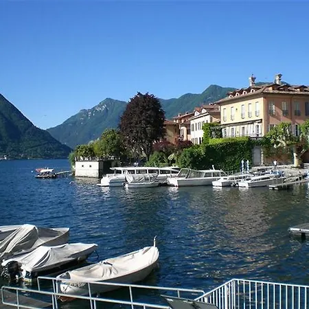 Antico Ulivo *